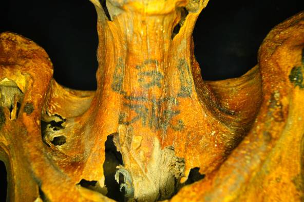 archeologie boz tatoeages mummie