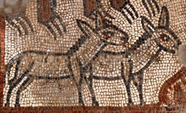 archeologie boz mozaiek ark